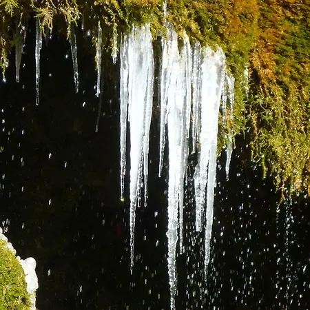 Wolfs - Natuerlich Eifel
