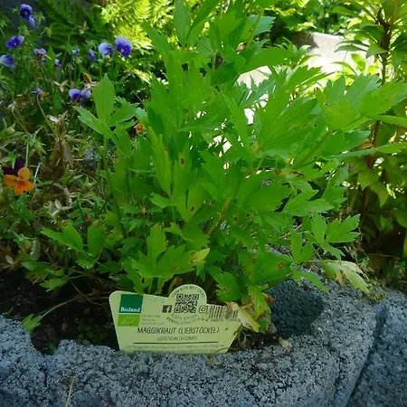 Wolfs - Natuerlich Eifel Prázdninový dům *