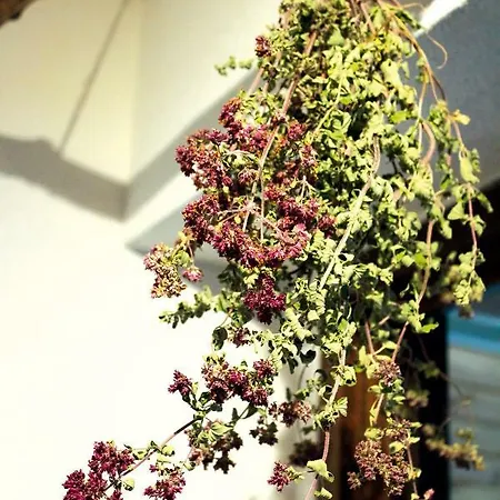 펜션 Wolfs - Natuerlich Eifel 블랑켄하임