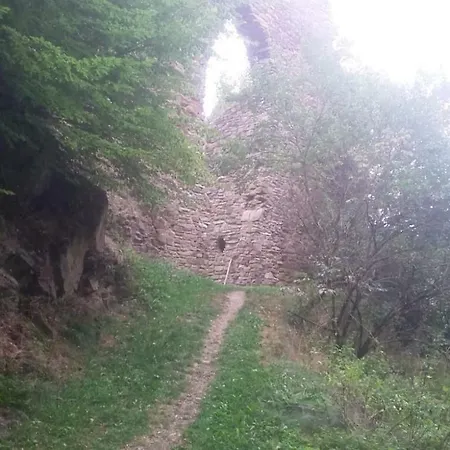 Wolfs - Natuerlich Eifel 펜션