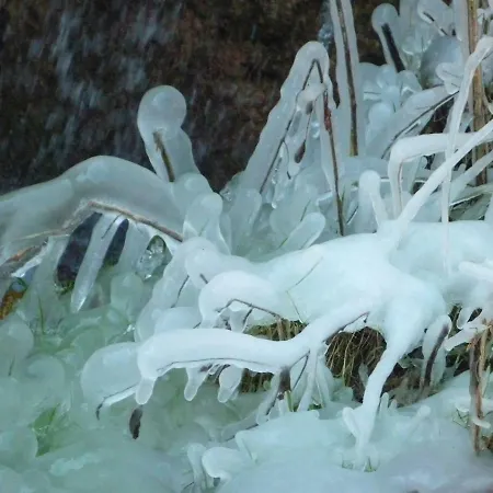 Prázdninový dům Wolfs - Natuerlich Eifel Blankenheim (North Rhine-Westphalia)