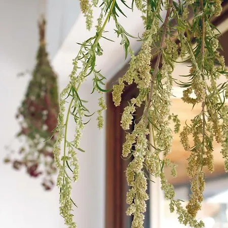 펜션 Wolfs - Natuerlich Eifel *