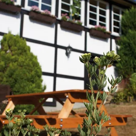 펜션 Wolfs - Natuerlich Eifel