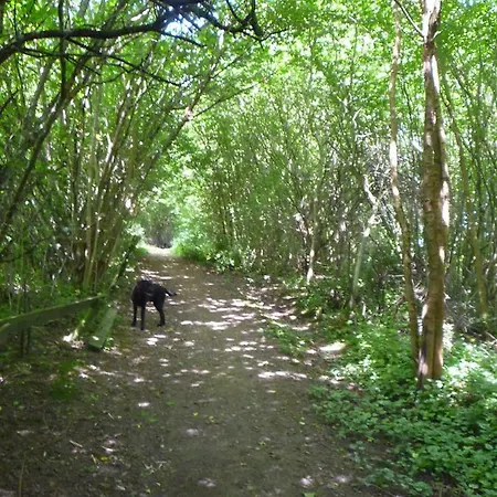 Wolfs - Natuerlich Eifel *