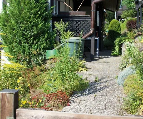 Wolfs - Natuerlich Eifel * 布兰肯海姆