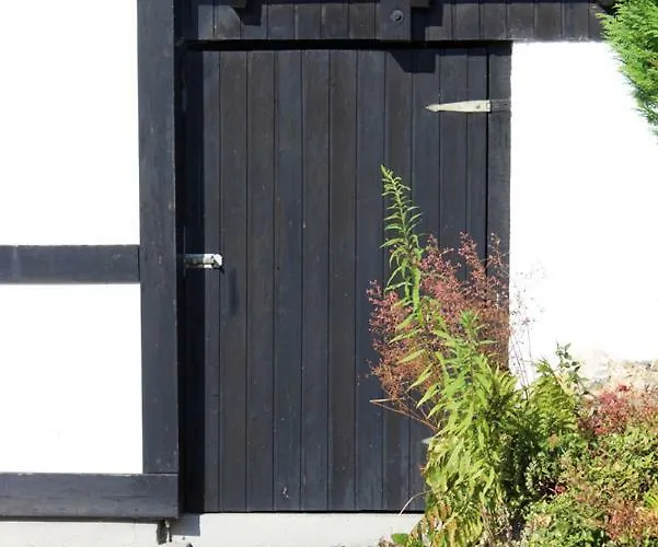 Wolfs - Natuerlich Eifel *