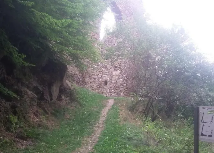 Wolfs - Natuerlich Eifel Semesterbostad