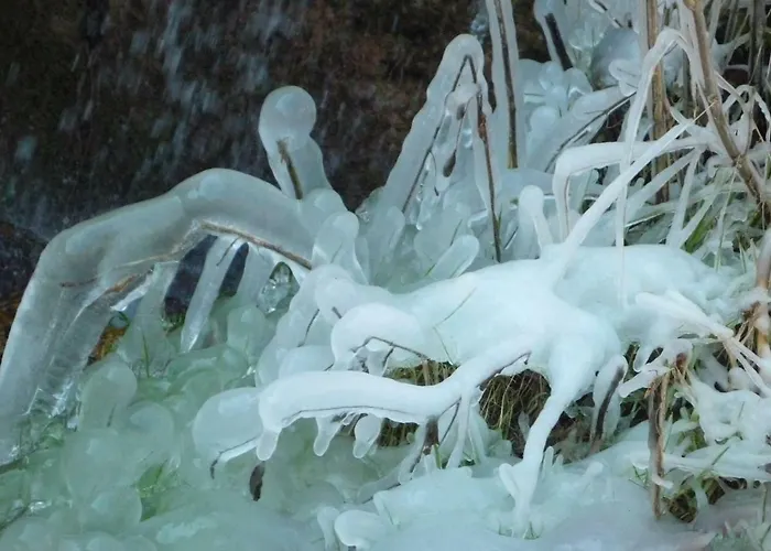 度假居 Wolfs - Natuerlich Eifel 布兰肯海姆