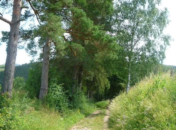 Wolfs - Natuerlich Eifel 布兰肯海姆