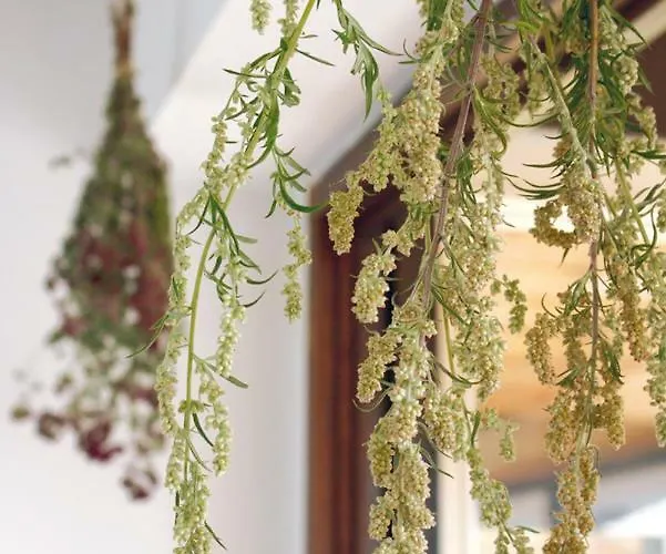 度假居 Wolfs - Natuerlich Eifel *