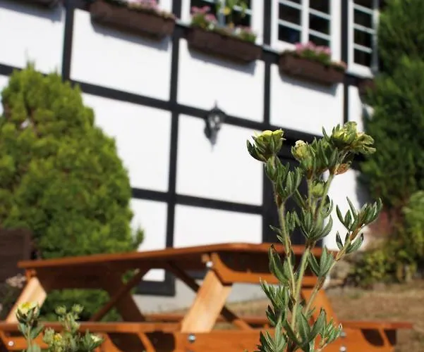 Semesterbostad Wolfs - Natuerlich Eifel