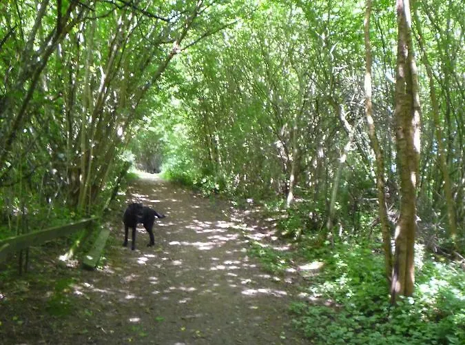 Wolfs - Natuerlich Eifel *